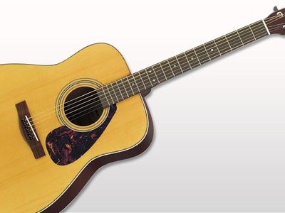 Yamaha F310P