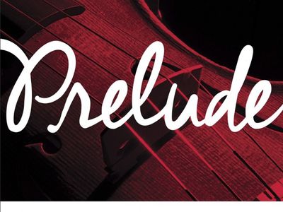 DADDARIO Orchestral Encordado | p/Violin | 1/4 | PRELUDE | Solid steel core | T: Medium