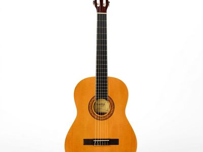 GUITARRA CLASICA LEONARD 4/4 TAPA PINO CON ALMA