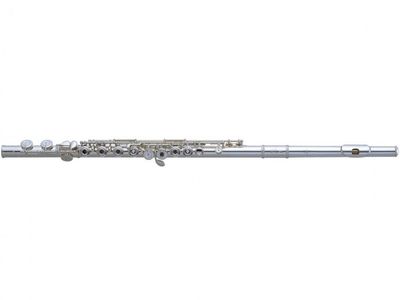 Flauta Traversa | Silver plated | Offset | Llaves A-B | E partido | Con estuche