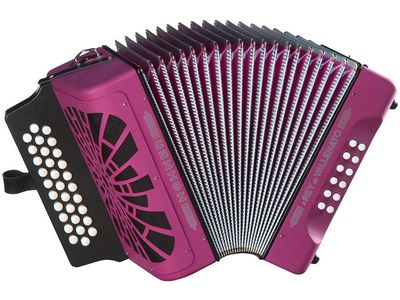 HOHNER VERD.REY VALLENATO VIOLETA
