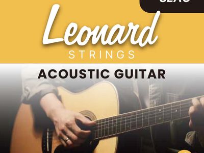 ENCORDADO LEONARD DE GUITARRA ACUSTICA-PHOSPHOR BRONZE-010/048