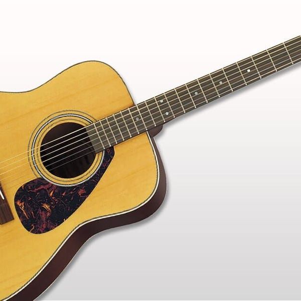 Yamaha F310P