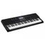 Teclado | CT-X | 61 Teclas | 600 Sonidos | 48 Polifonia | 195 Ritmos | AiX Sound | Sensitivo | Grabador | USB/PENDRIVE |