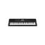 Teclado | CT-X | 61 Teclas | 600 Sonidos | 48 Polifonia | 195 Ritmos | AiX Sound | Sensitivo | Grabador | USB | 4.3Kg