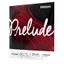 Encordado | p/Violin | 1/2 | PRELUDE | Solid steel core | T: Medium