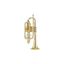Corneta | Bb | Bb Key | 3 Pistones | Yellow Brass | Estuche de Madera
