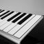 CONTROLADOR MIDI XKEY 25 NOTAS-ULTRA LIVIANO-128 NIVELES DE SENSIBILIDAD-OCTAVADOR-CABLE USB-BLANCO