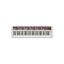 Teclado | Casiotone | 61 Teclas | 61 Sonidos | 64 Polifonia | AiX Sound | Sensitivo | USB micro B | APP | Grabador Midi 