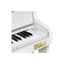 Piano | Celviano Grand Hybrid | 88 Teclas de Madera | Acc. Martillo de Piano Natural |26 Sonidos | 256 Polifonia | AiR G