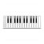 CONTROLADOR MIDI XKEY 25 NOTAS-ULTRA LIVIANO-128 NIVELES DE SENSIBILIDAD-OCTAVADOR-CABLE USB-BLANCO