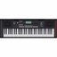 Órgano Roland E-X10 / Arreglador Inteligente