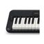 Teclado | Casiotone | 61 Teclas | 400 Sonidos | 48 Polifonia | 77 Ritmos | Sensitivo | USB micro B | APP | Dance Music M