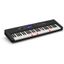 Teclado | Casiotone | 61 Teclas iluminadas | 600 Sonidos | 48 Polifonia | 200 Ritmos | AiX Sound | Sensitivo | USB/PENDR
