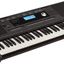 Órgano Roland E-X20A / Arreglador Inteligente