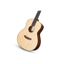 Guitarra Electroacustica | Cuerpo Mini Grand Symphony | Pream Fishman | Mastil de caoba | Tapa Picea | Fondo y Aro de No