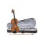 Violin | Estudio | 4/4 | Tapa de Pino solido Select | Cuerpo de Maple | Arco A. Breto