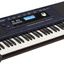 Órgano Roland E-X30 / Arreglador Inteligente