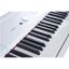 PIANO ELECTRICO ARTESIA-TECLAS PESADAS-16 VOCES-POLIFONIA 64 VOCES-PEDAL DE SUSTAIN-COLOR BLANCO