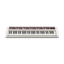 Teclado | Casiotone | 61 Teclas | 61 Sonidos | 64 Polifonia | AiX Sound | Sensitivo | USB micro B | APP | Grabador Midi 