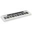 Teclado | Casiotone | 61 Teclas | 400 Sonidos | 48 Polifonia | 77 Ritmos | USB micro B | Conexión a APP | Dance Music Mo