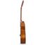 Guitarra Electroacustica | Cuerpo Mini Grand Symphony | Pream Fishman | Mastil de caoba | Tapa Picea | Fondo y Aro de No