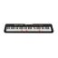 Teclado | Casiotone | 61 Teclas iluminadas | 400 Sonidos | 48 Polifonia | 77 Ritmos | Sensitivo | Dance Music Mode | App