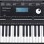 Órgano Roland E-X20A / Arreglador Inteligente