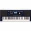 Órgano Roland E-X30 / Arreglador Inteligente