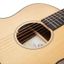 Guitarra Electroacustica | Cuerpo Mini Grand Symphony | Pream Fishman | Mastil de caoba | Tapa Picea | Fondo y Aro de No